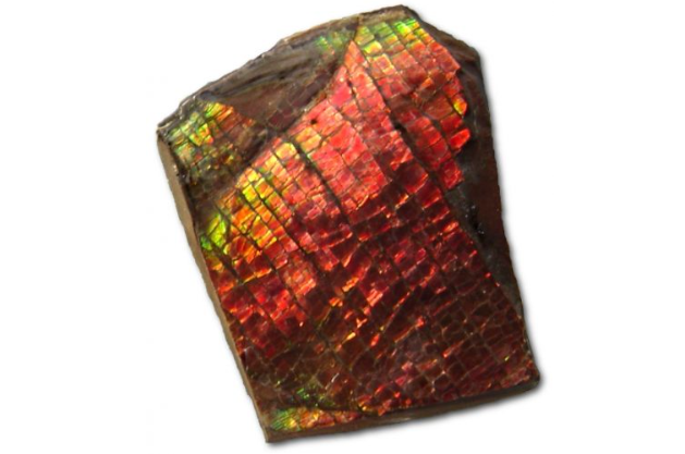 Ammolite is of the rare gemstones