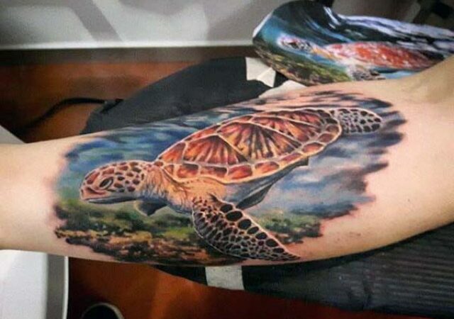 sea turtle tattoo