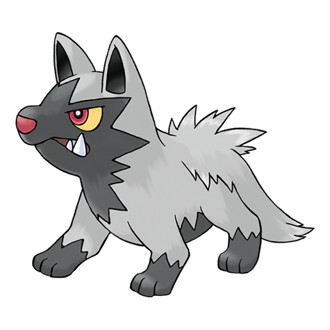 261 News Home Poochyena