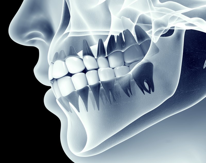 Are teeth bones