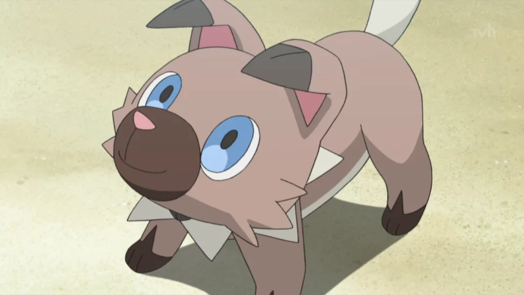 AshRockruff News Home Rockruff