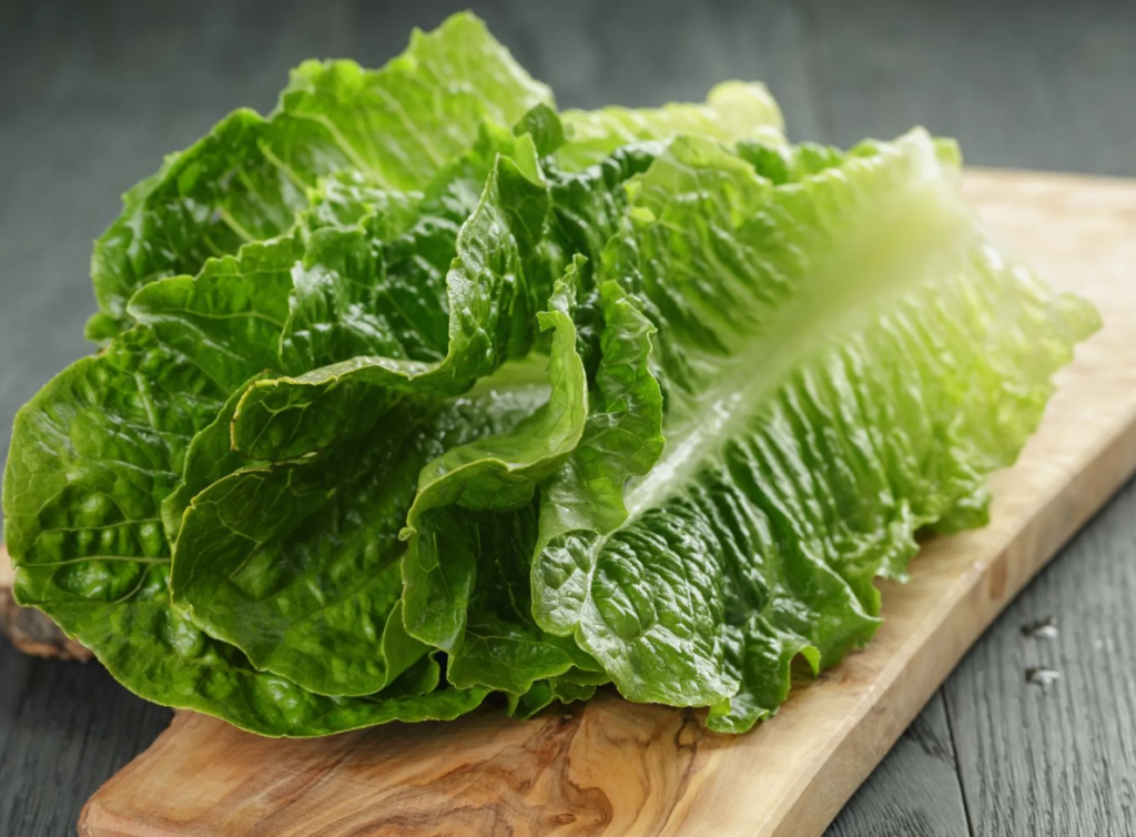 green vegetables News Home Romaine Lettuce