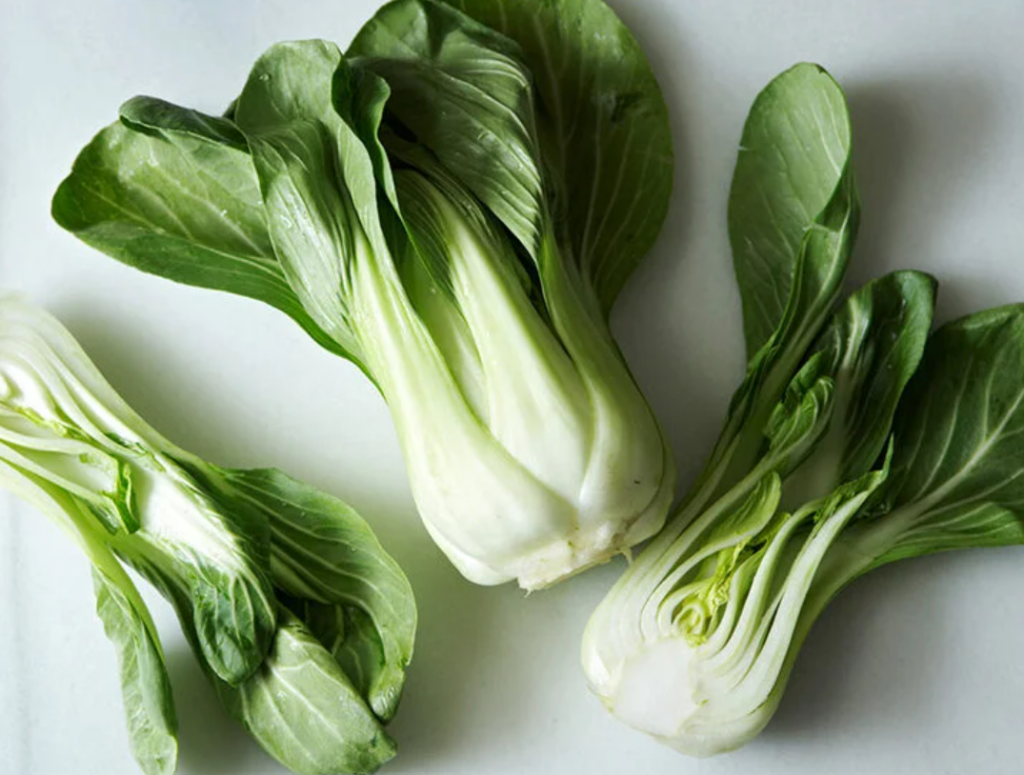 green vegetables News Home Bok Choy