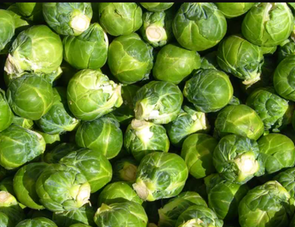 green vegetables News Home Brussels Sprouts