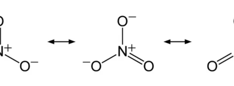 Navigating the Nitrate vs Nitrite Nexus: Unveiling Their Powers and Pitfalls