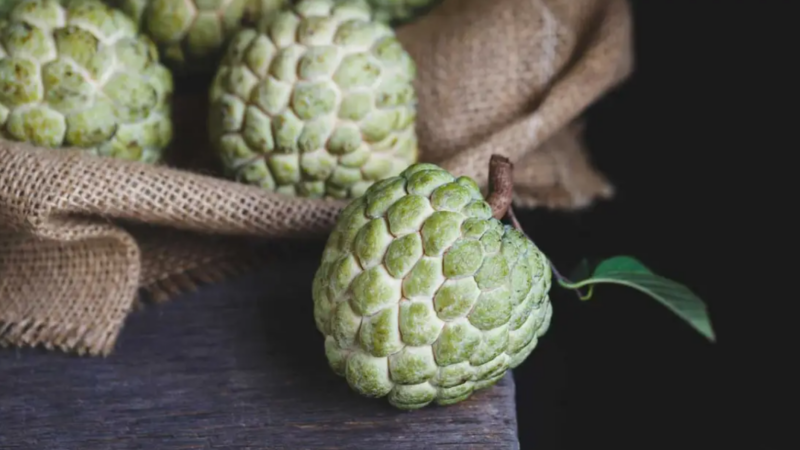 Surprising Health Benefits Of Custard Apples