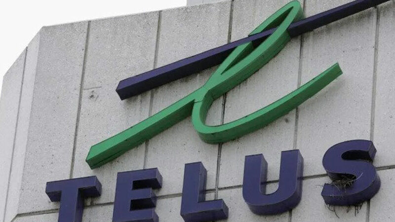 Telus International Review