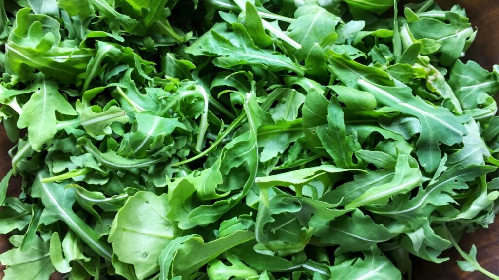 green vegetables News Home Arugula