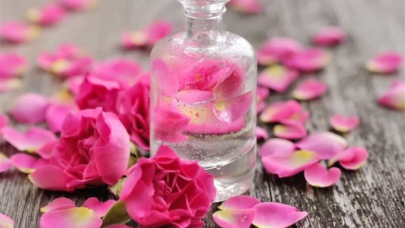 Rose Water for Hair : A Natural Elixir for Healthier Tresses