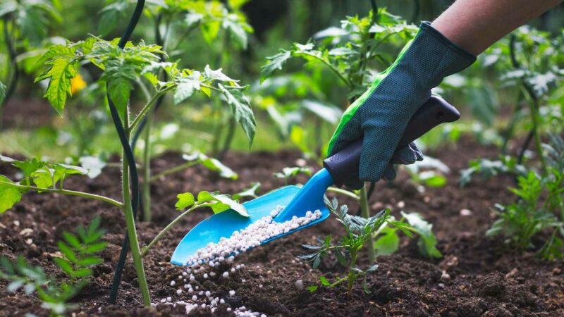 Unearthing the Benefits of 10-10-10 Fertilizer: A Gardener’s Guide