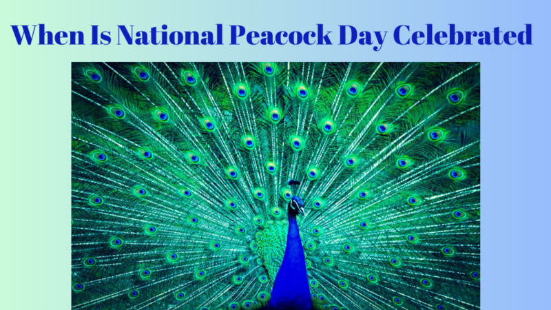 National Peacock Day